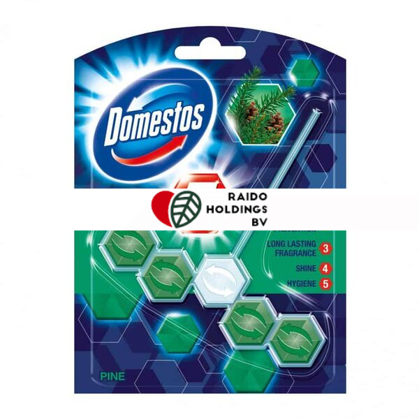 Domestos Power 5 Pine 55g
