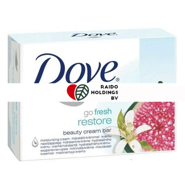 Dove Soap Go Fresh Restore 100g