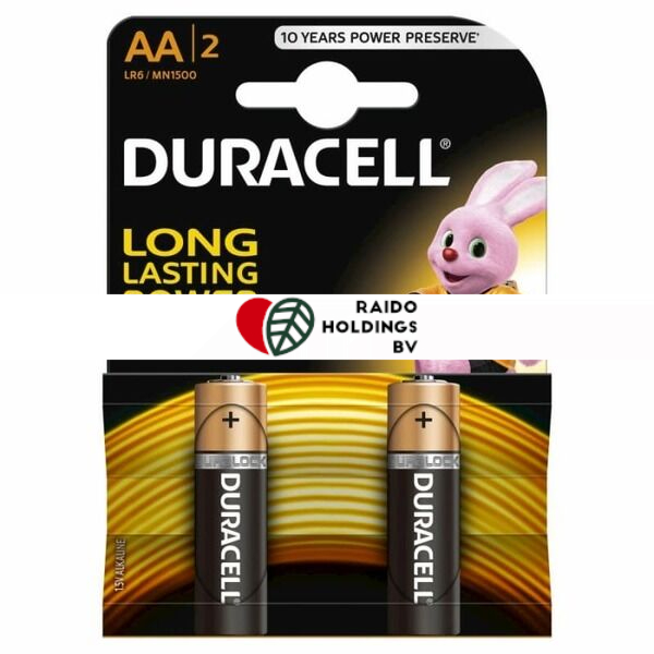 Duracell Battery Basic AAK 2