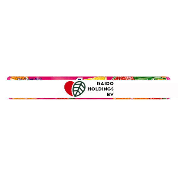 Mentos Fruit 38 g
